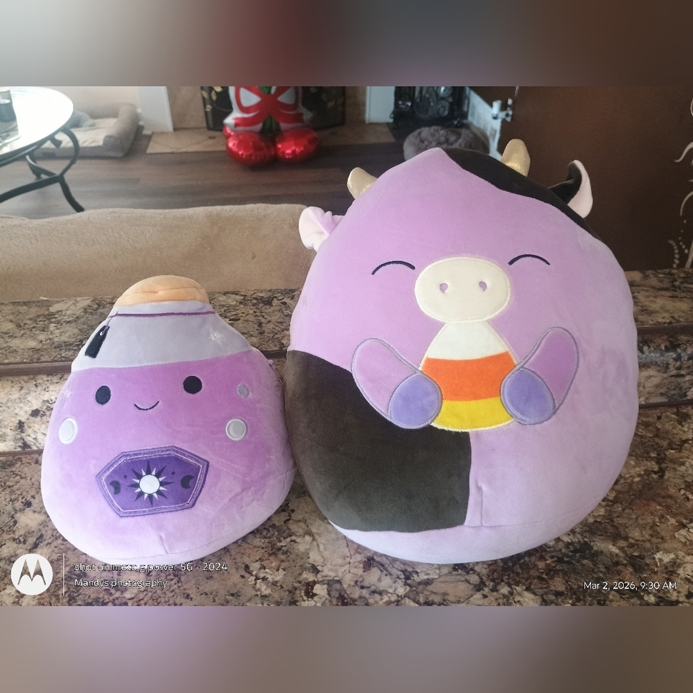 Squishmallows brand new with tags original squishmallows Kensington and Alexie. - Picture 2 of 6